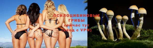 спиды Осташков