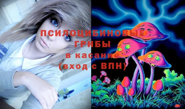 apvp Остров