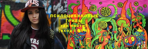 амф Дрезна
