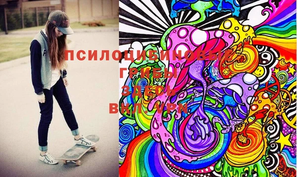 спиды Осташков