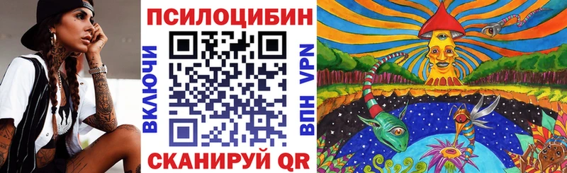 Купить где  Городец  Галлюциногенные грибы Cubensis 